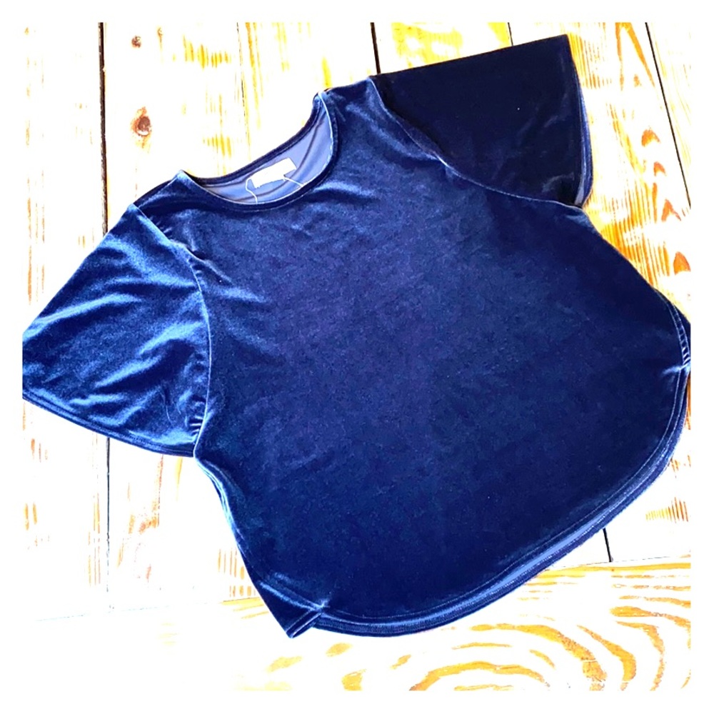 Madewell Blue Velvet Butterfly Top Size X-Small